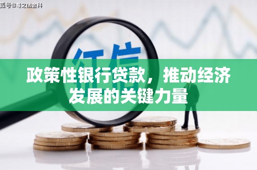 沁源政策性银行贷款，推动经济发展的关键力量