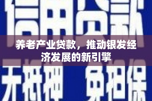 沁源养老产业贷款，推动银发经济发展的新引擎