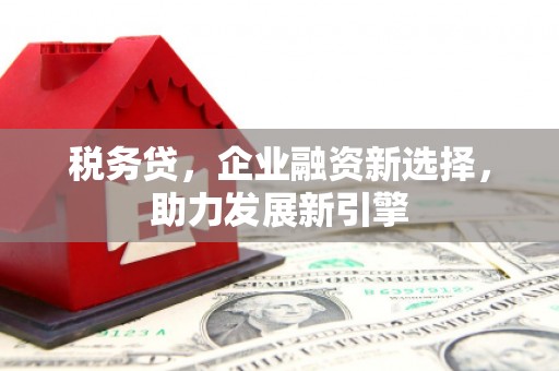 沁源税务贷，企业融资新选择，助力发展新引擎