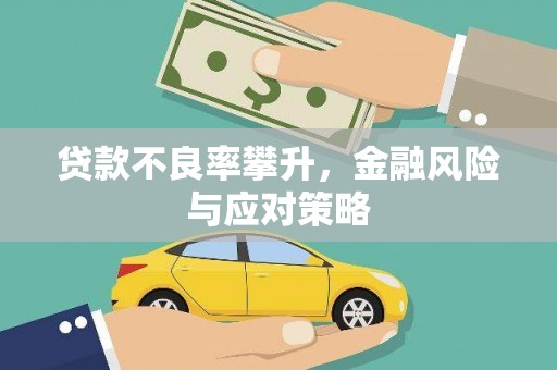 沁源贷款不良率攀升，金融风险与应对策略