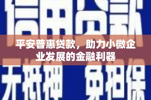 沁源平安普惠贷款，助力小微企业发展的金融利器