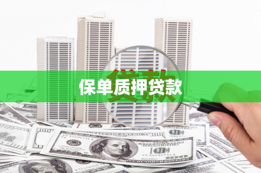 沁源保单质押贷款