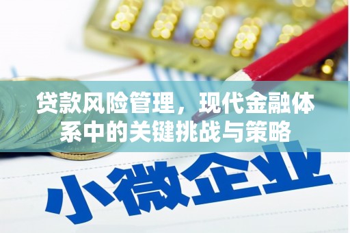 沁源贷款风险管理，现代金融体系中的关键挑战与策略