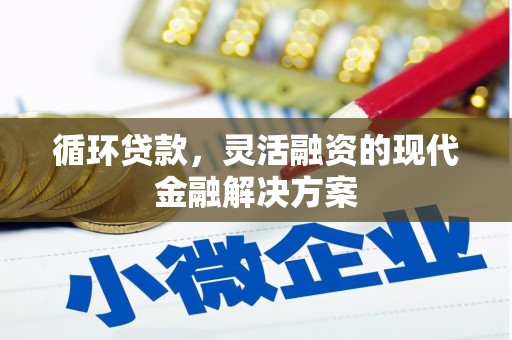 沁源循环贷款，灵活融资的现代金融解决方案
