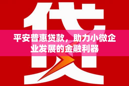 沁源平安普惠贷款，助力小微企业发展的金融利器