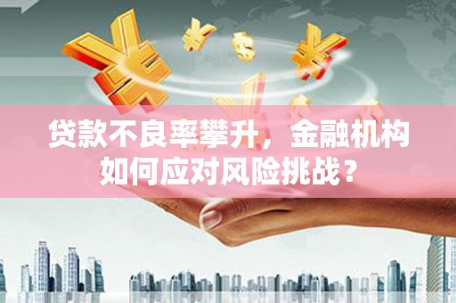 沁源贷款不良率攀升，金融机构如何应对风险挑战？