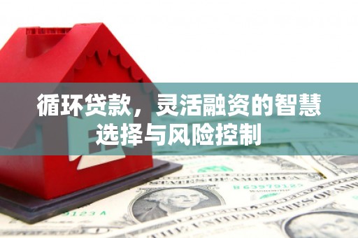 沁源循环贷款，灵活融资的智慧选择与风险控制