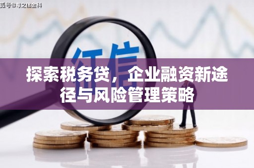 沁源探索税务贷，企业融资新途径与风险管理策略