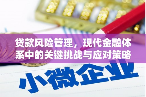 沁源贷款风险管理，现代金融体系中的关键挑战与应对策略
