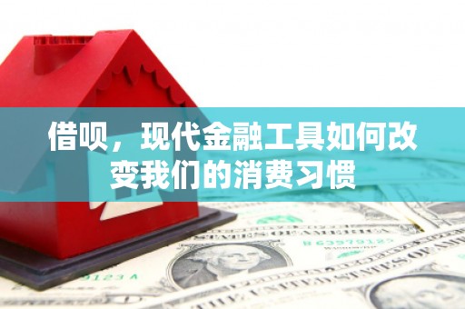 沁源借呗，现代金融工具如何改变我们的消费习惯