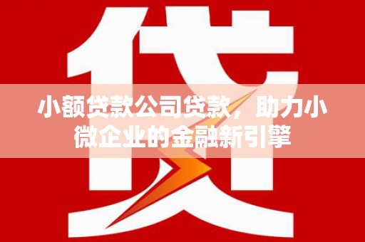 沁源小额贷款公司贷款，助力小微企业的金融新引擎