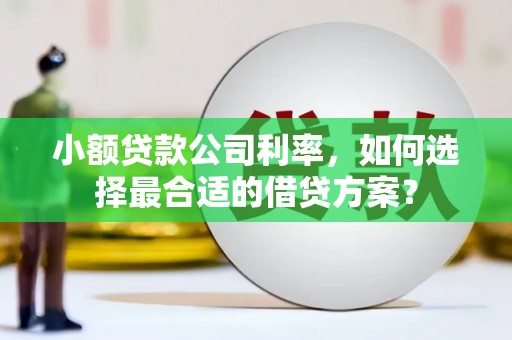 沁源小额贷款公司利率，如何选择最合适的借贷方案？