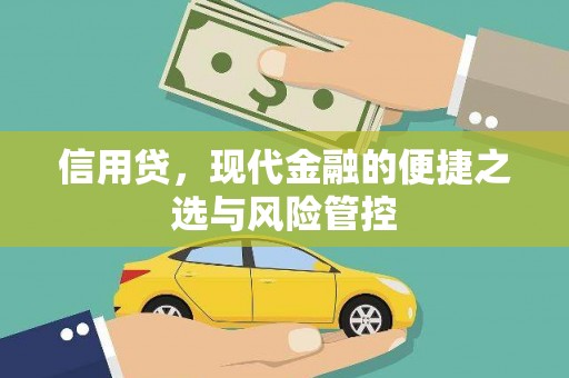 沁源信用贷，现代金融的便捷之选与风险管控