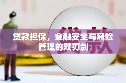 沁源贷款担保，金融安全与风险管理的双刃剑