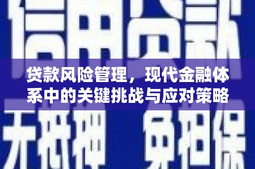 沁源贷款风险管理，现代金融体系中的关键挑战与应对策略