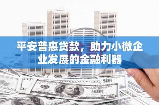 沁源平安普惠贷款，助力小微企业发展的金融利器