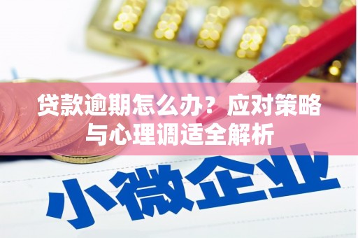 沁源贷款逾期怎么办？应对策略与心理调适全解析