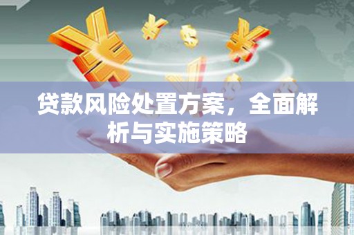 沁源贷款风险处置方案，全面解析与实施策略