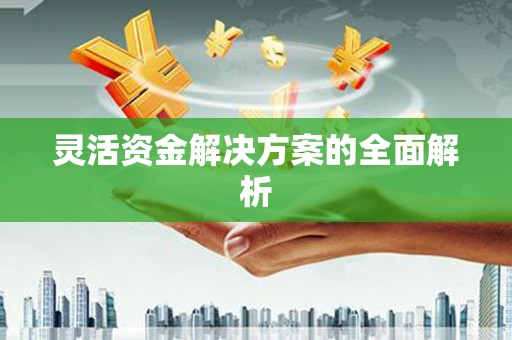 沁源灵活资金解决方案的全面解析