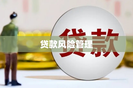 沁源贷款风险管理